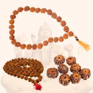 Gold Plated Modern Rudraksha Bracelet